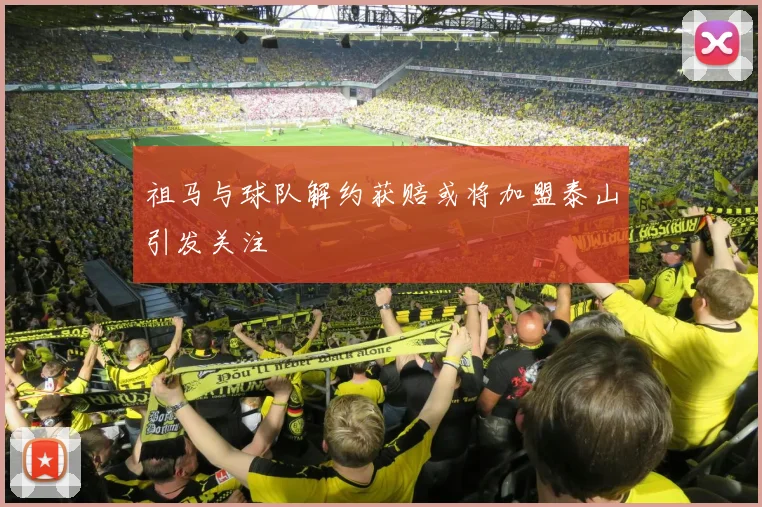 祖马与球队解约获赔或将加盟泰山引发关注