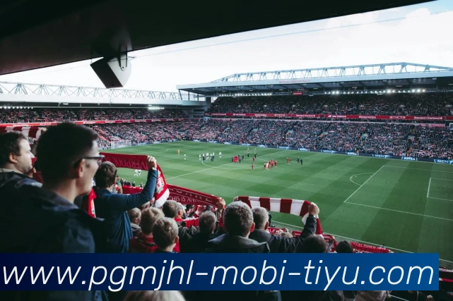 麻将胡了服务体系